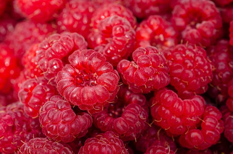 Fruitful Harvest